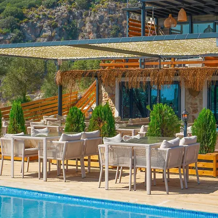 The Luxury Shelters 3* קס